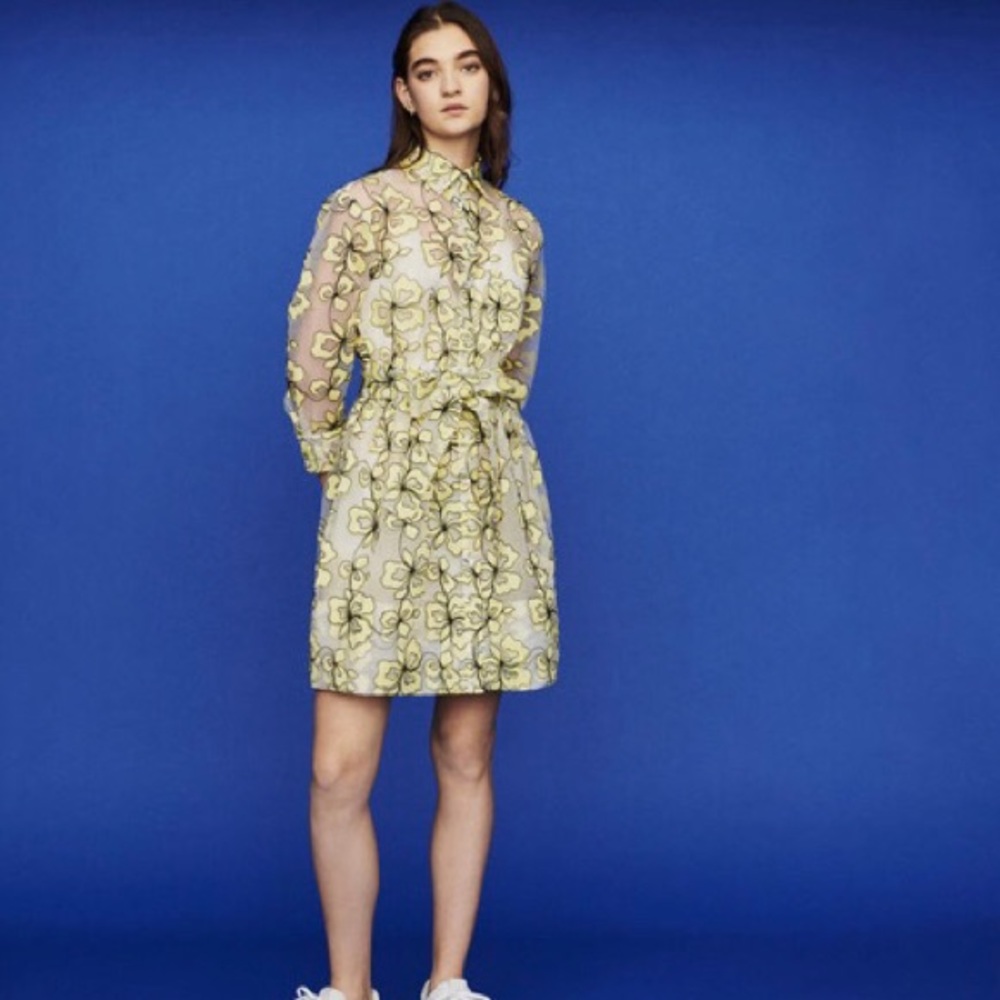 NWOT Maje organza dress with flowers